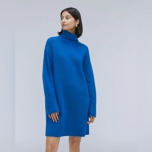 Everlane The Cozy Stretch Turtleneck Sweater Dress, Medium